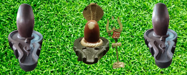 narmdeshwar shivling